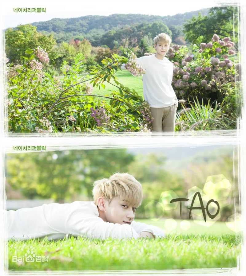 黄子韬(Z.TAO、 、タオ)杂志广告