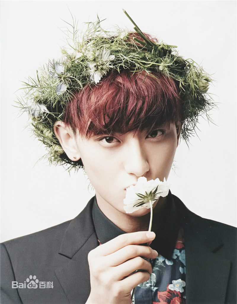 黄子韬(Z.TAO、 、タオ)杂志广告