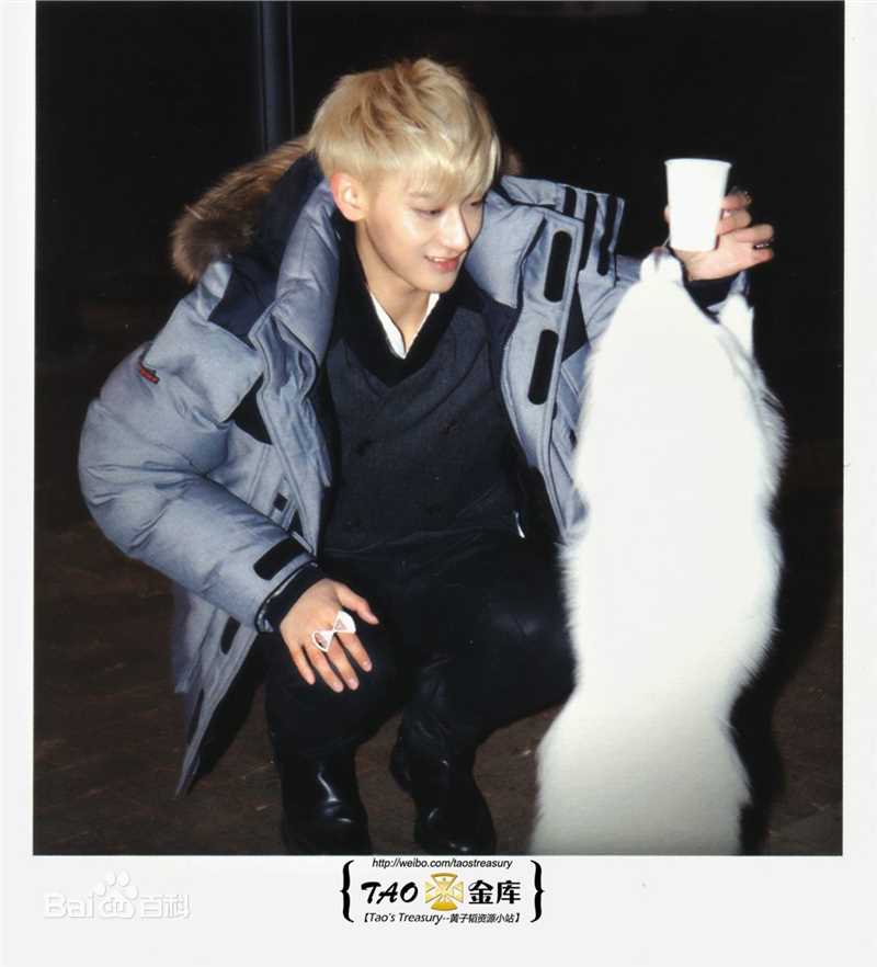 黄子韬(Z.TAO、 、タオ)杂志广告
