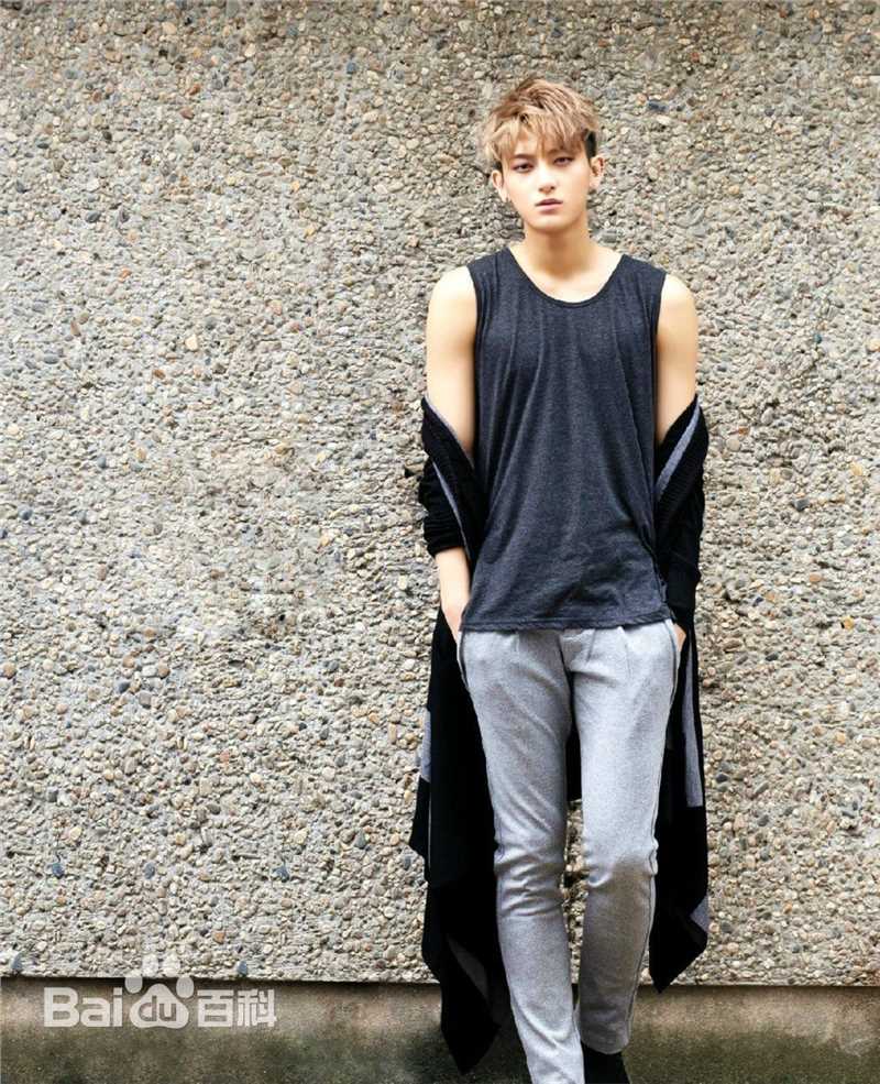 黄子韬(Z.TAO、 、タオ)杂志广告