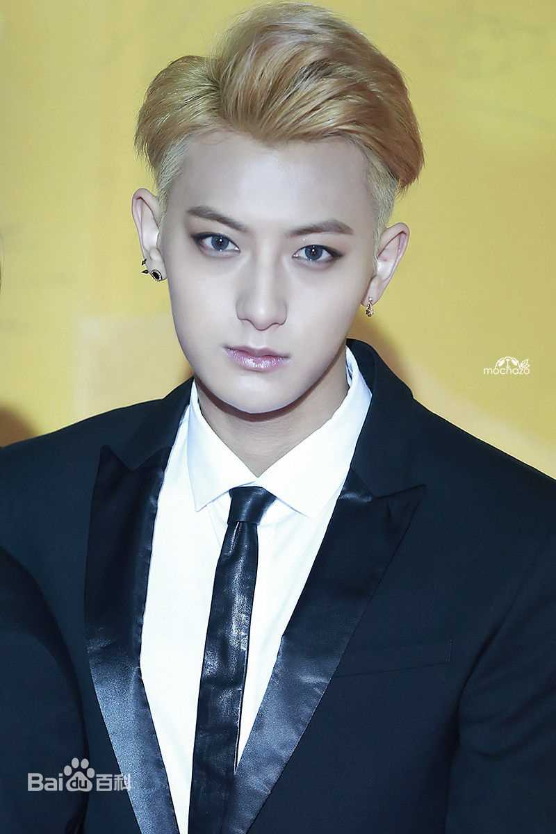 黄子韬(Z.TAO、 、タオ)舞台王者前后照片