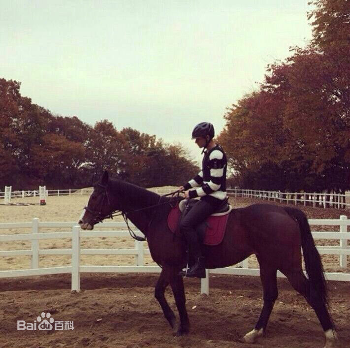 黄子韬(Z.TAO、 、タオ)十项全能性感图片图集