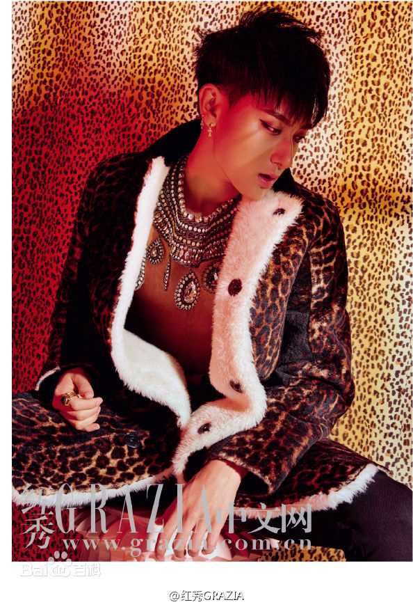 黄子韬(Z.TAO、 、タオ)精选《其他杂志》图册