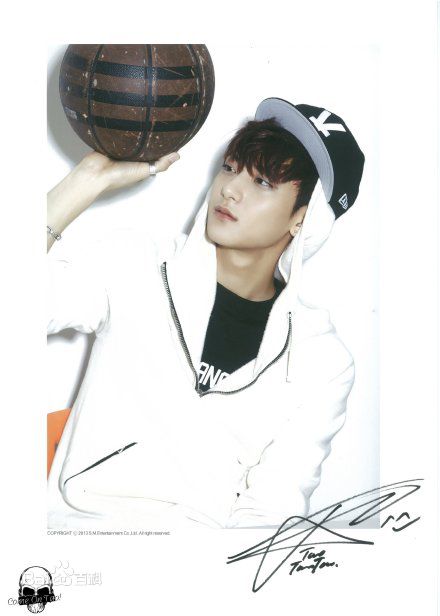 最新黄子韬(Z.TAO、 、タオ)在《XOXO》正规专辑中的壁纸