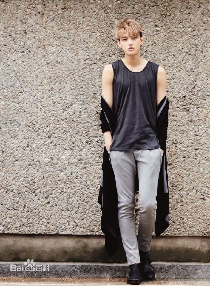 最新黄子韬(Z.TAO、 、タオ)在《XOXO》正规专辑中的壁纸