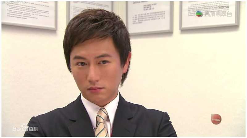 精选陈键锋(Sammul Chan)在2009《廉政行动2009之公私车》饰 许嘉明中的图册