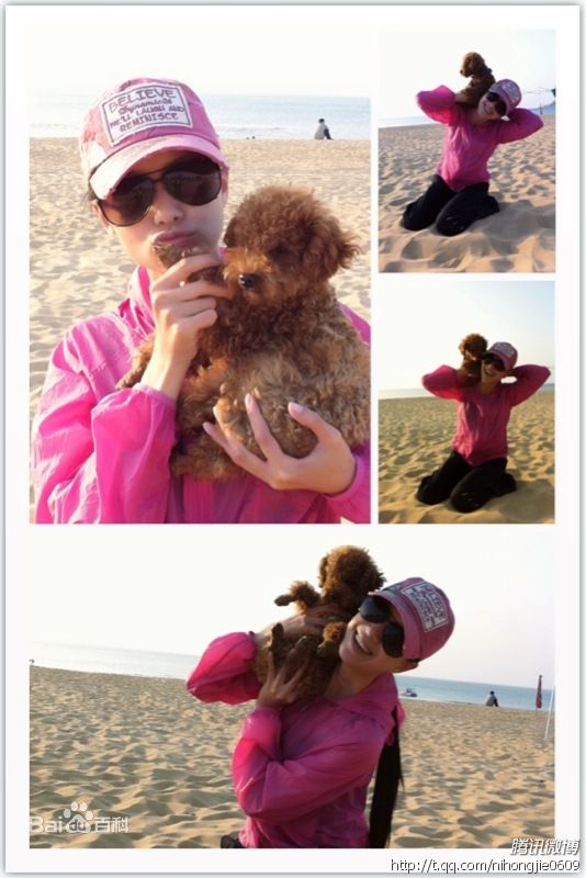 倪虹洁微博图片