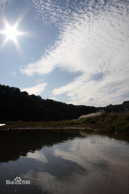 谢园主演《孩子王》海报