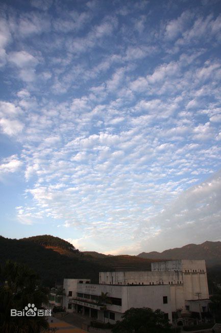 谢园主演《孩子王》海报