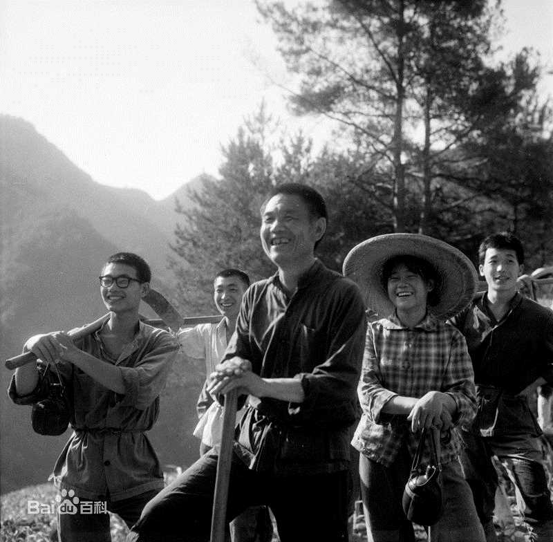 《谢园》封面图片