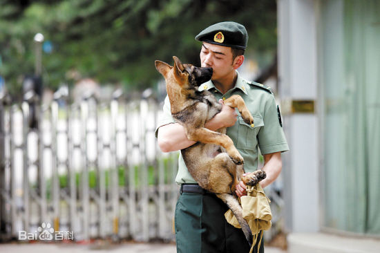 参演电视剧部分剧照
