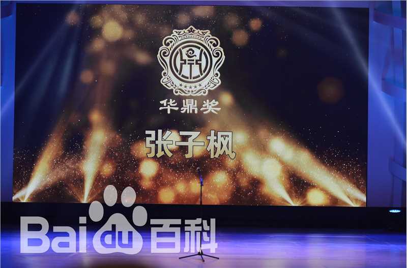 张子枫(Wendy Zhang)获奖影视剧壁纸壁纸