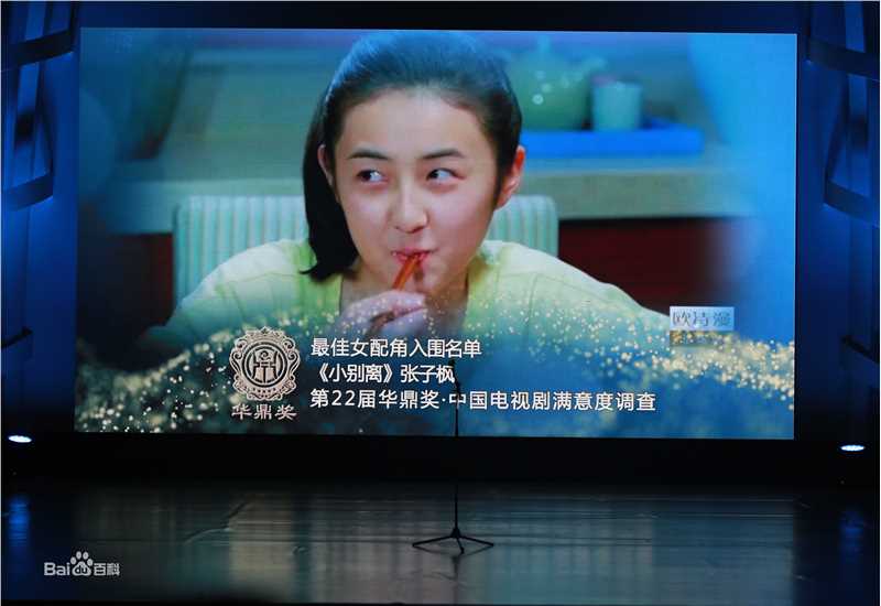 张子枫(Wendy Zhang)获奖影视剧壁纸壁纸