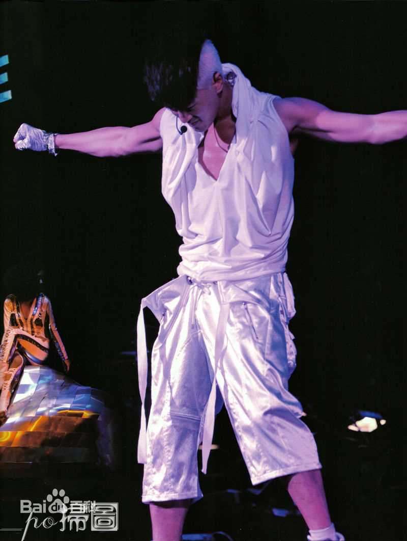 林峯/林峰(LAM Raymond)2010年林峰红馆个人演唱会性感图片图集