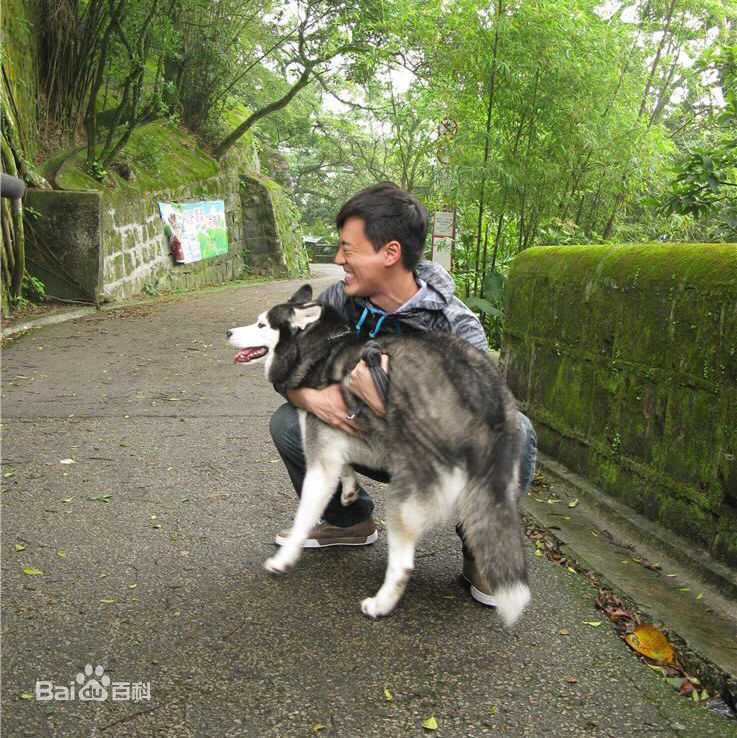 林峯/林峰(LAM Raymond)峯从哪里来图片图集