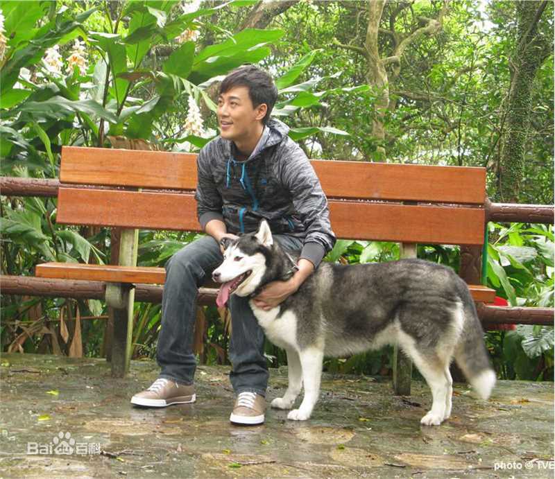 林峯/林峰(LAM Raymond)峯从哪里来图片图集