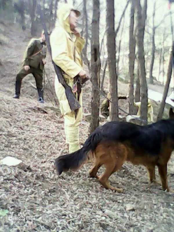 精选丁海峰(HaiFeng·Ding)