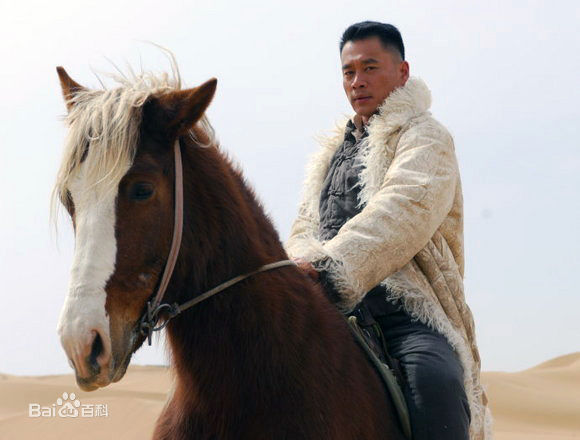 精选丁海峰(HaiFeng·Ding)