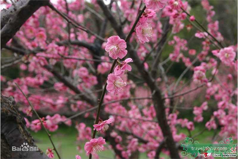 池贤宇(/Ji Hyun-Woo)精彩图册