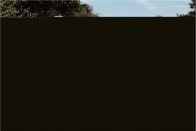 王鸥(Angel)街拍1前后照片