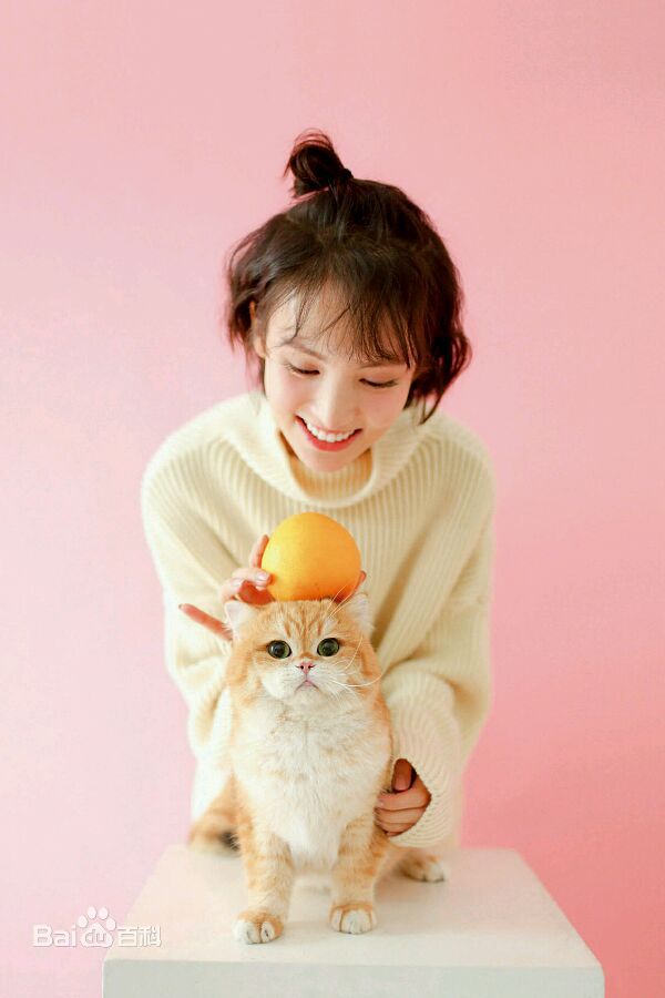 金晨(Gina)【宠物世界】性感图片壁纸