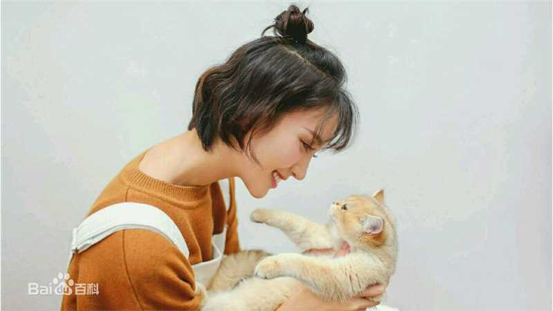 金晨(Gina)【宠物世界】性感图片壁纸