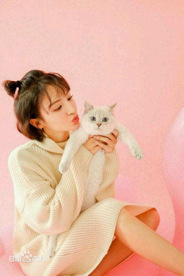 金晨(Gina)【宠物世界】性感图片壁纸