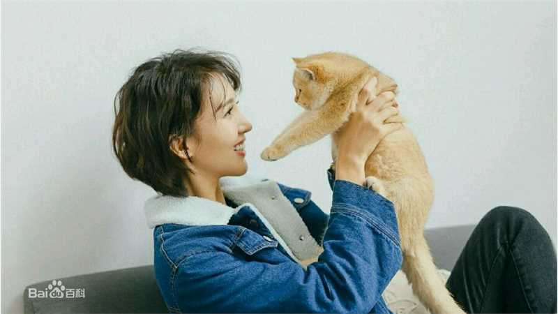 金晨(Gina)【宠物世界】性感图片壁纸