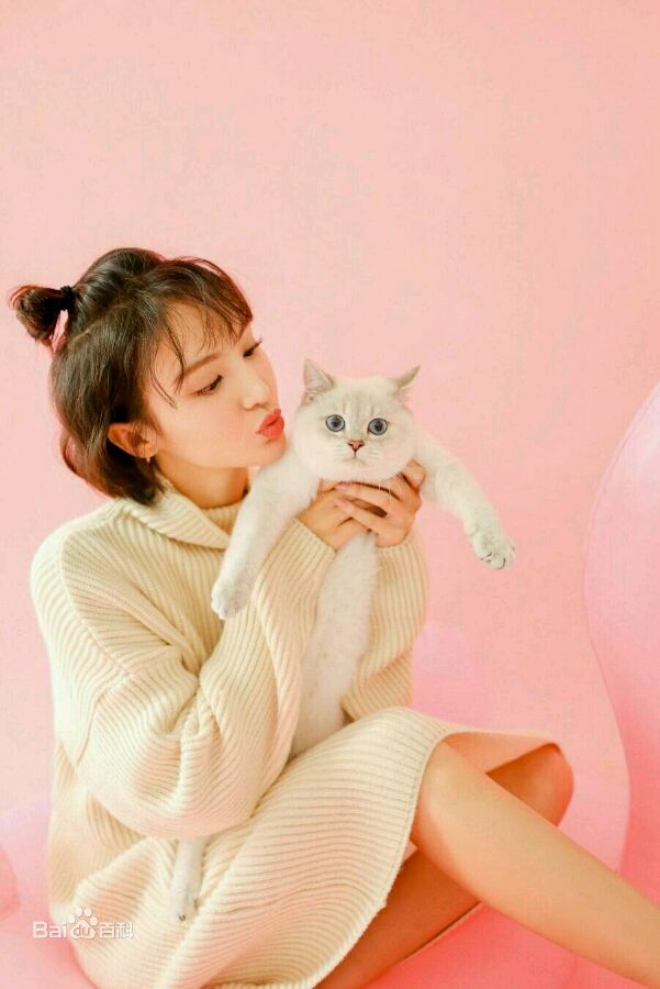 金晨(Gina)【宠物世界】性感图片壁纸