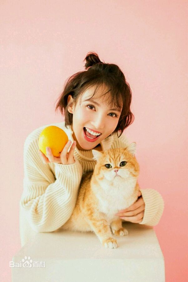 金晨(Gina)【宠物世界】性感图片壁纸