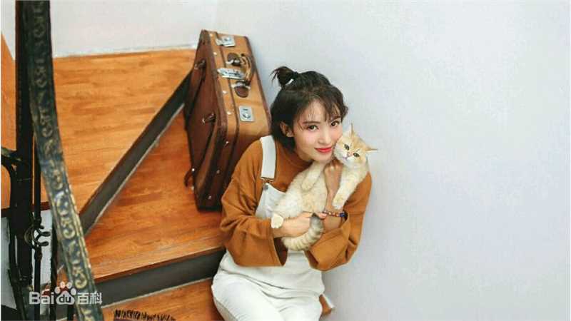 金晨(Gina)【宠物世界】性感图片壁纸