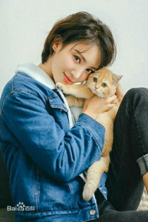 金晨(Gina)【宠物世界】性感图片壁纸