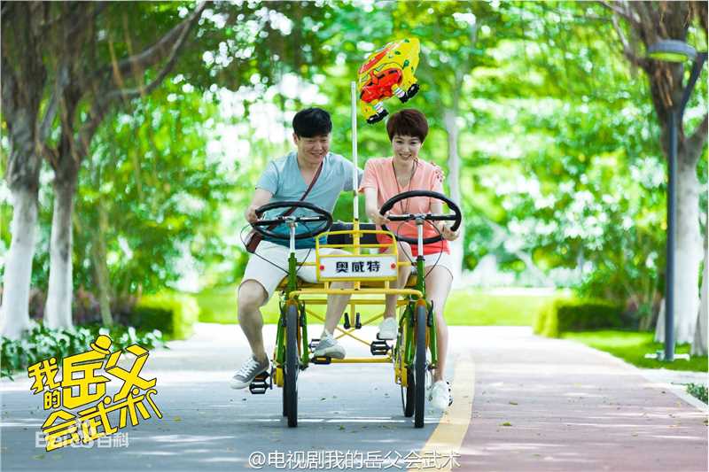 《我的岳父会武术》饰白燕