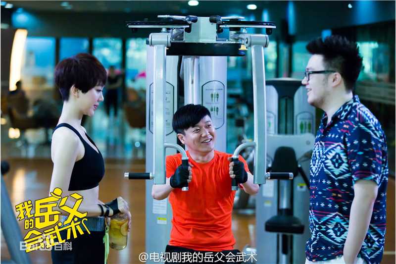 《我的岳父会武术》饰白燕