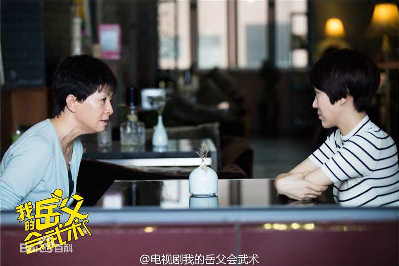 《我的岳父会武术》饰白燕