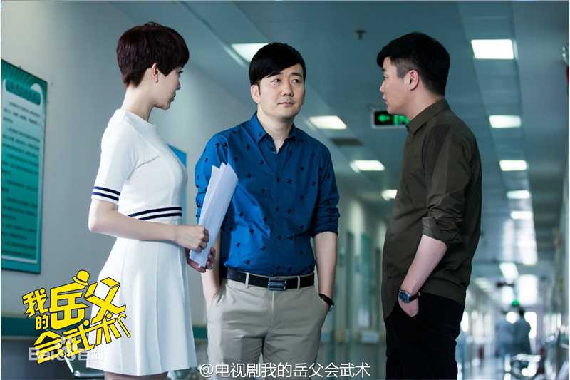 《我的岳父会武术》饰白燕