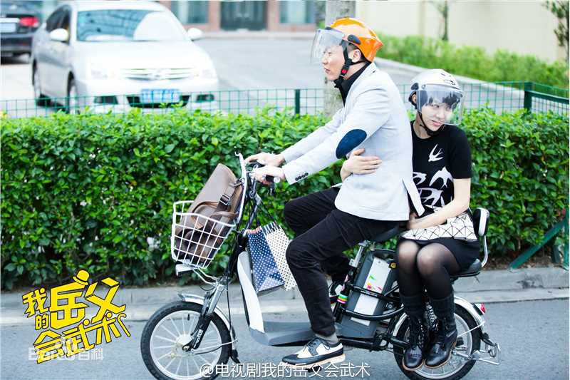 《我的岳父会武术》饰白燕