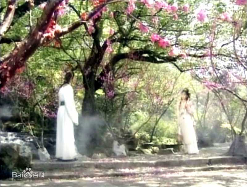 最优质张玉嬿(Crystal Chang)在1991年华视版《红楼梦》中的相册