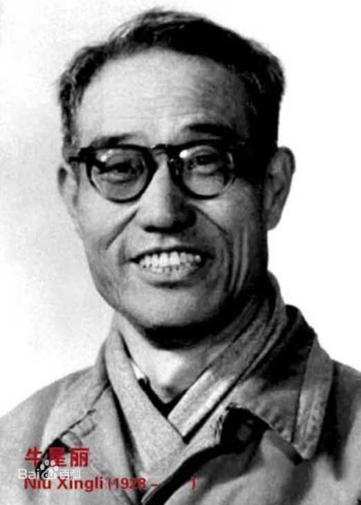 《牛星丽》封面图片