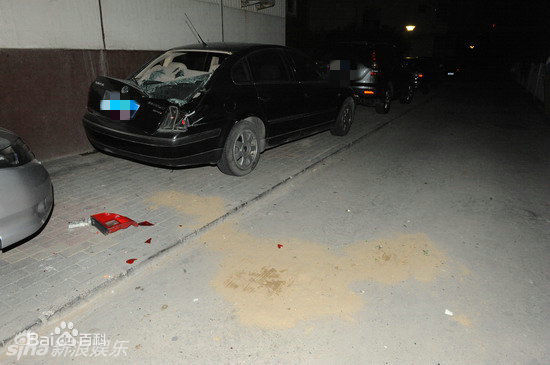 贾宏声精彩图册