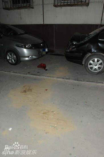 贾宏声精彩图册