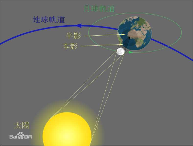 《贾宏声》封面图片