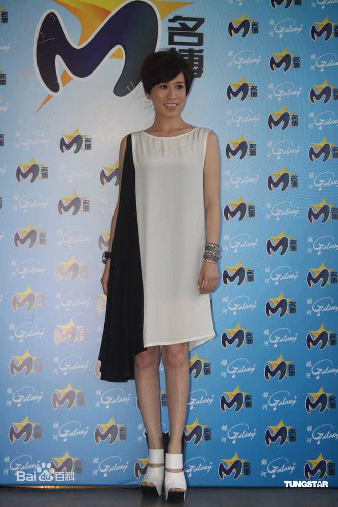 最优质佘诗曼(Charmaine Sheh)精彩图册