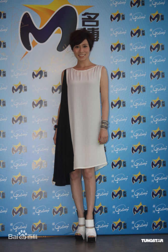 最优质佘诗曼(Charmaine Sheh)精彩图册