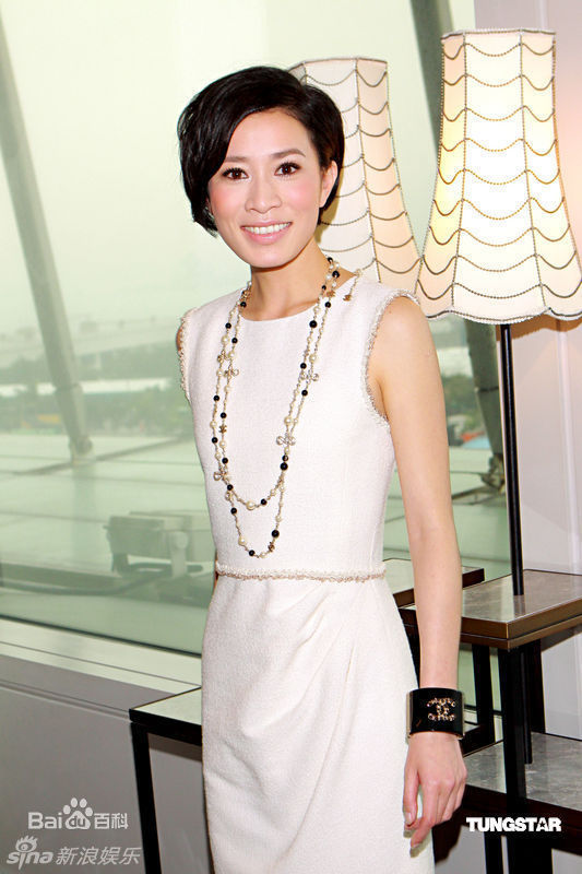最优质佘诗曼(Charmaine Sheh)精彩图册