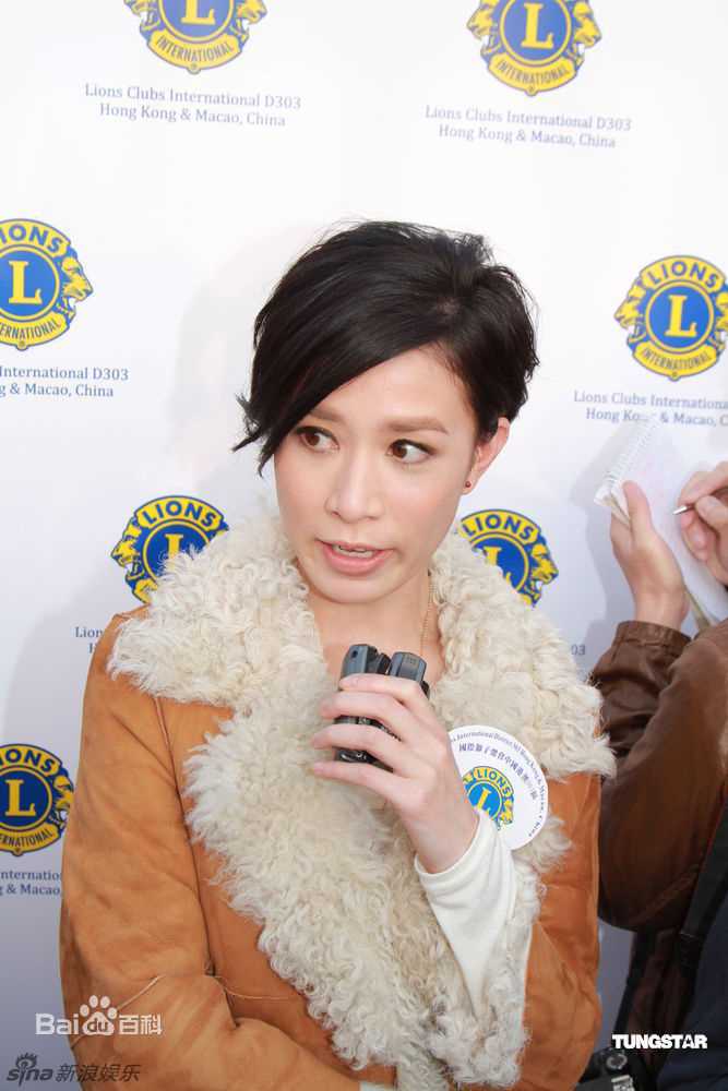 最优质佘诗曼(Charmaine Sheh)精彩图册