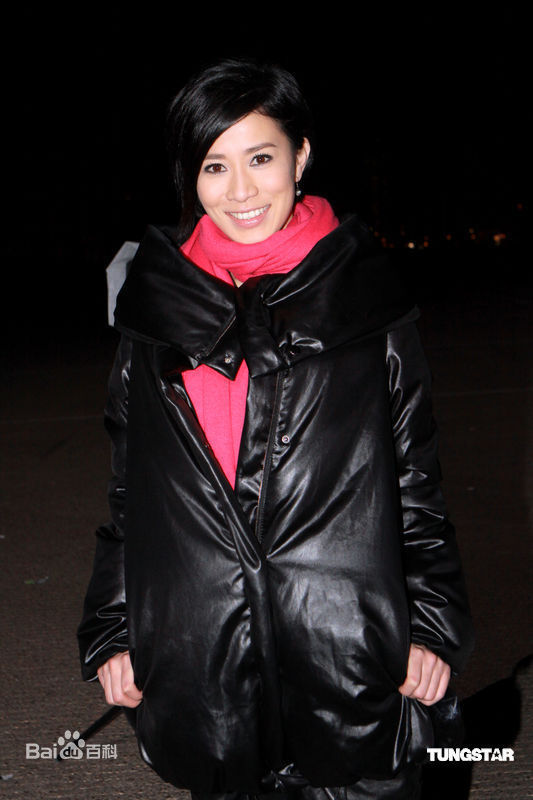 最优质佘诗曼(Charmaine Sheh)精彩图册