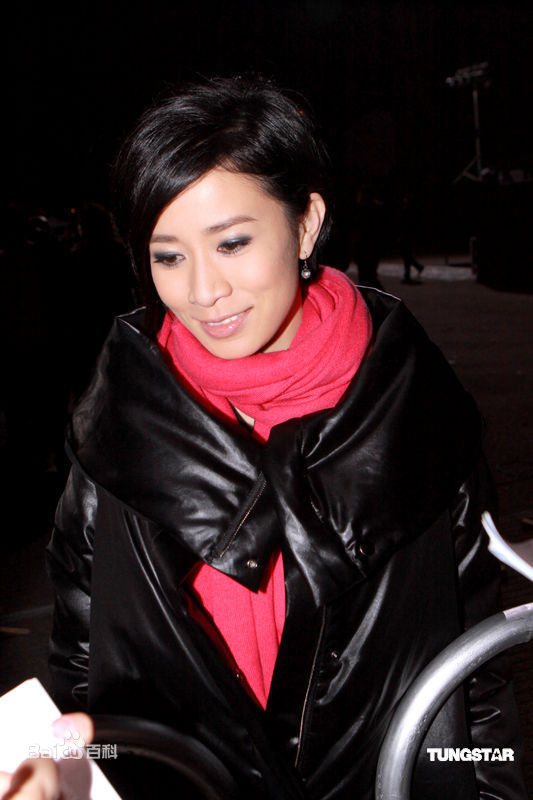 最优质佘诗曼(Charmaine Sheh)精彩图册