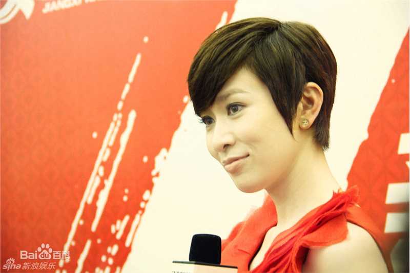 最优质佘诗曼(Charmaine Sheh)精彩图册