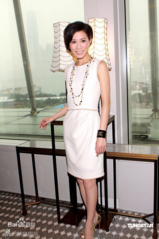 最优质佘诗曼(Charmaine Sheh)精彩图册
